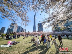 天津：民众踏青赏花邂逅春日浪漫之约